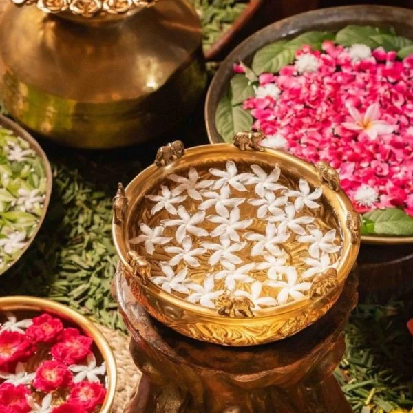 1 scaled rha9cx2zltwu2ypdeyqyemq1n15rdgghgiiw2lllkg