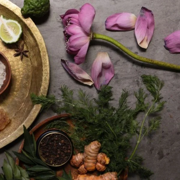 pi7 image tool 6 rhasdt7hd1h7mduz4ihspau3t7euxyflaf0fjs3ptc