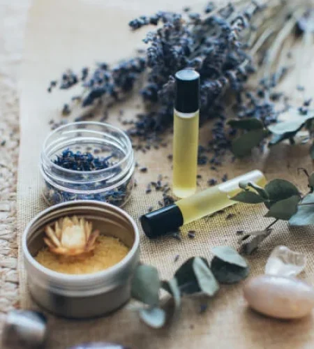 lotus spa template about gallery slider img 3